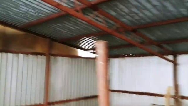 Обменяли овец на коз|Бизнес в деревне|Овцеводство как бизнес