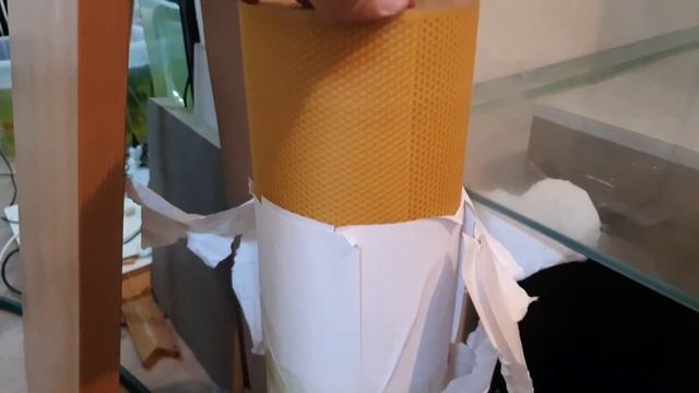 Меченосец Рубин и Красный Отличие и условия размножения! Переделал аквариумы! Новые растения!