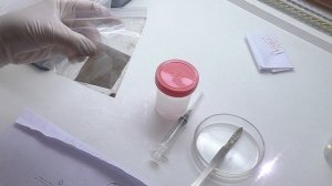 Посеяла семена орхидеи для себя и заказчика. Посев ваших семян на заказ.
