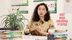 Биосфера. Круговорот веществ в биосфере | Биология ЕГЭ, ЦТ