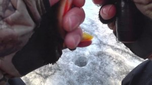 Первый Лёд! Зимняя Рыбалка/Ловля Окуня на Балансир/Такое себе начало!