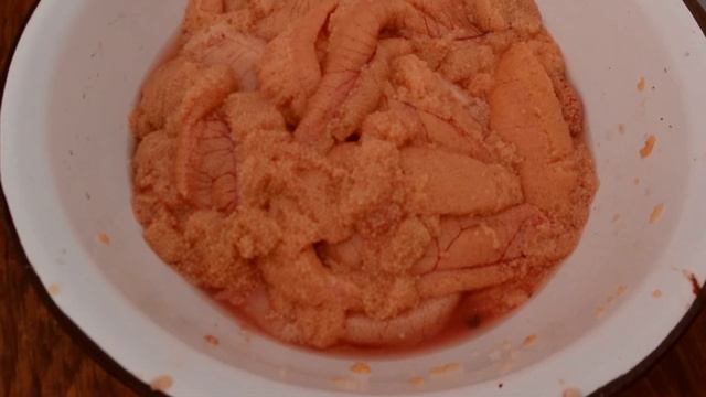 Рыбалка на омуля сплавной сетью на Лене в Якутии.