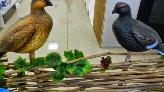 Для дома ландшафтные фигуры интерьера купить из гипса полистоуна сада дачного участка дома котеджа смотреть онлайн