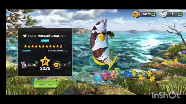 Рыбацкая битва. Новый вид соревнований в игре fishing clash.