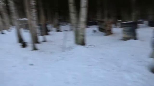 22 января Открытая игра в пейнтбол с Роботом Картоноботом, ver.01 смотреть онлайн