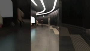 От "МЦД4 Нижегородская" до "БКЛ Нижегородская"
