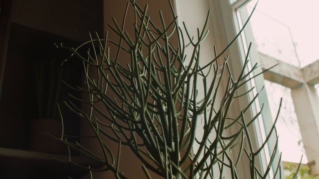 Inside Moschino’s Marionette Fashion Show and Being Black in Milan Fashion | Good Morning Vogue смотреть онлайн