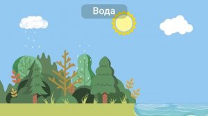 Зачем нужен лес?