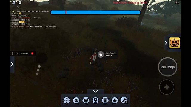 Осенний ивент в котах воителях Роблокс смотреть онлайн