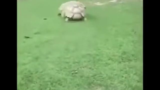 Не иметь 100рублей ,а иметь 100 друзей.