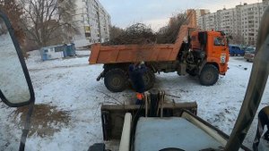 Снега нет грузим ветки в городе.