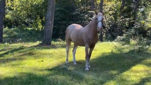 Сплав по Тетереву .Житомирская обл. Украина