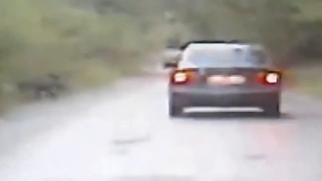 Кабан в замедленном виде. смотреть онлайн