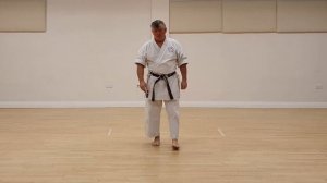 Part 1 - Pinan Shodan - Wado Ryu Karate