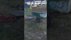 Мотоблок с прицепом МБ1. Краткий обзор