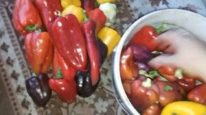 Отличный урожай перца .