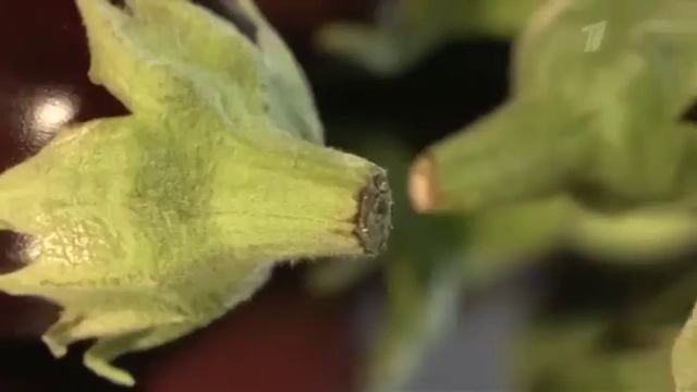 Влад Листьев. Зачем Я Сделал Этот Шаг? 01.03.2020