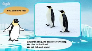 Meet the Animals | Emperor Penguin | Birds | Stories for Kindergarten