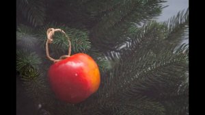 А. Толстой «Детство Никиты»