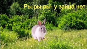 Логопед- автоматизация звука Р в чистоговорках.