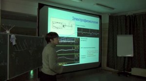 Периферические механизмы обоняния насекомых