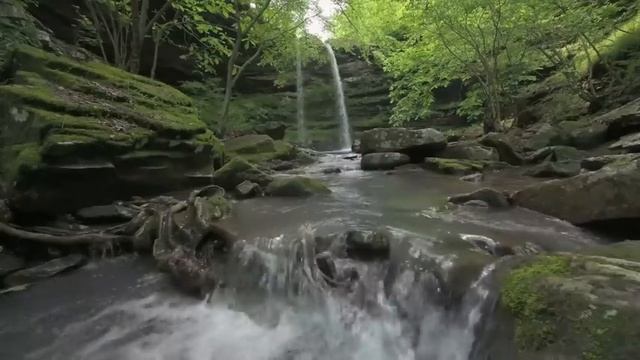 Soothing Music, Healing Your Nervous System, Stress Relief, Heart Healing Frequency