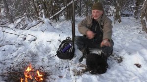 Суконная куртка "Медведицца"