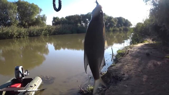СУМАСШЕДШИЙ Клёв САЗАНА - РЫБАЛКА НА ДИКОМ ОСТРОВЕ 2 ЧАСТЬ смотреть онлайн