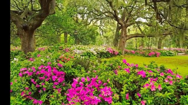 Анна Ахматова. "Сад" смотреть онлайн