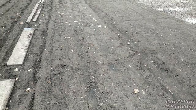 Посеяла редис. Зеленушку: салат, руколу, кИнзу, петрушку. Агро-фитнес начался. Живём на даче.