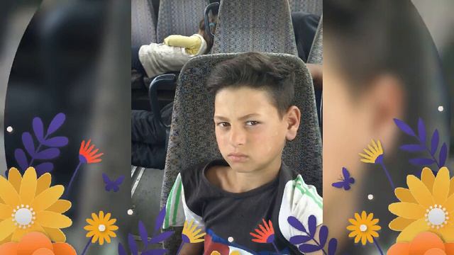 божидар сашев смотреть онлайн