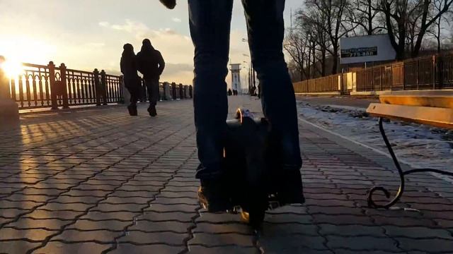 Зимние покатушки на моноколесе airwheel смотреть онлайн