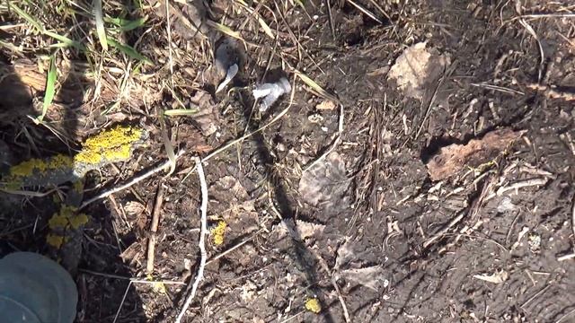 Сильвер или Юнипласт . Порох А1 или С7 смотреть онлайн