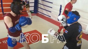 Тайский бокс в Новосибирске =КОБРА= Открытый ринг 22.05.16 (приглашение)