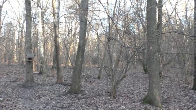 То-ли осень, то-ль весна в середине января... смотреть онлайн