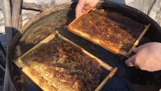 Чистим соты от засахаренного мёда