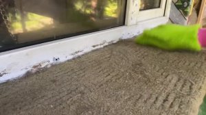 Супер варежка для уборки шерсти!!!