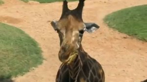 Валенсия. Достопримечательности