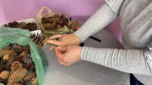 Гирлянда из шишек БЕЗ КЛЕЯ. Декор из шишек