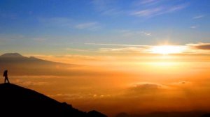 Edward Simoni - "Bonjour Claire"