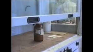 Охрана труда при работе с ядовитыми веществами