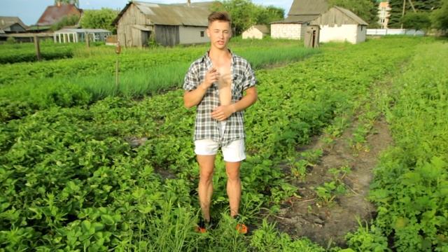 Где и как выращивают клубнику и сколько на ней можно заработать? смотреть онлайн