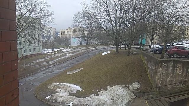 VID_20240223_130911