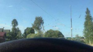 2021.07 Поддубье, Маловишерский район, Новгородская область