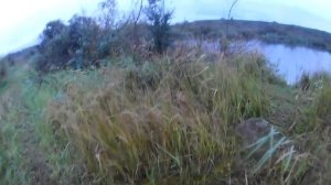 Охота на утку с МР 153/мАзила так мАзила/На открытой воде/Добыто 3 утки