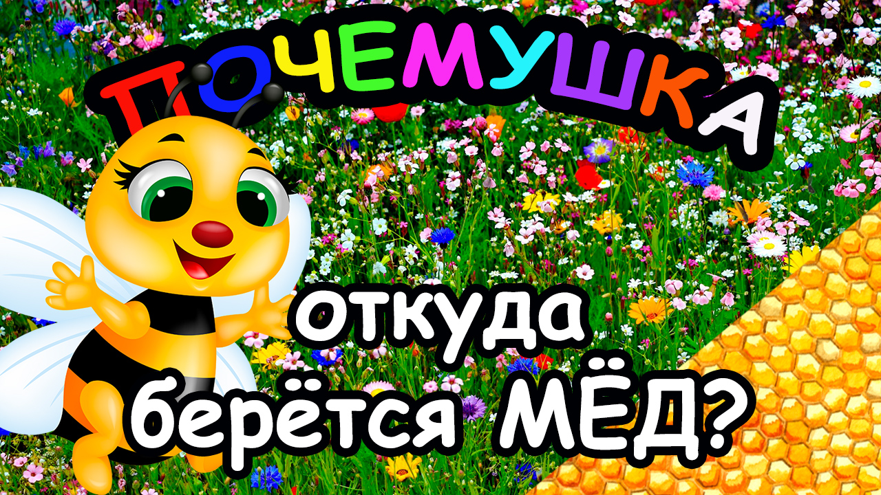 Откуда берётся МЁД? 
ПОЧЕМУШКА