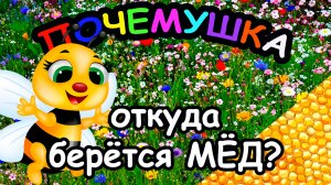 Откуда берётся МЁД? 
ПОЧЕМУШКА