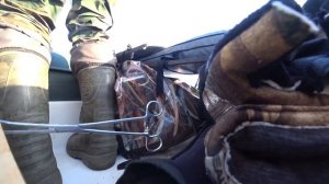 Рыбалка и охота в Северной Карелии. Атаки кумжи и боровая дичь. Осень 2019.