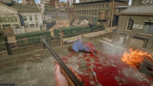 Red Dead Redemption 2 - First Person Brutal Gameplay Vol. 21 (Euphoria Ragdolls)