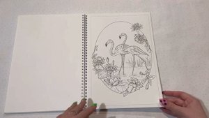 Обзор раскраски Алёны Лазаревой «Enchanted forest» в русском издании
